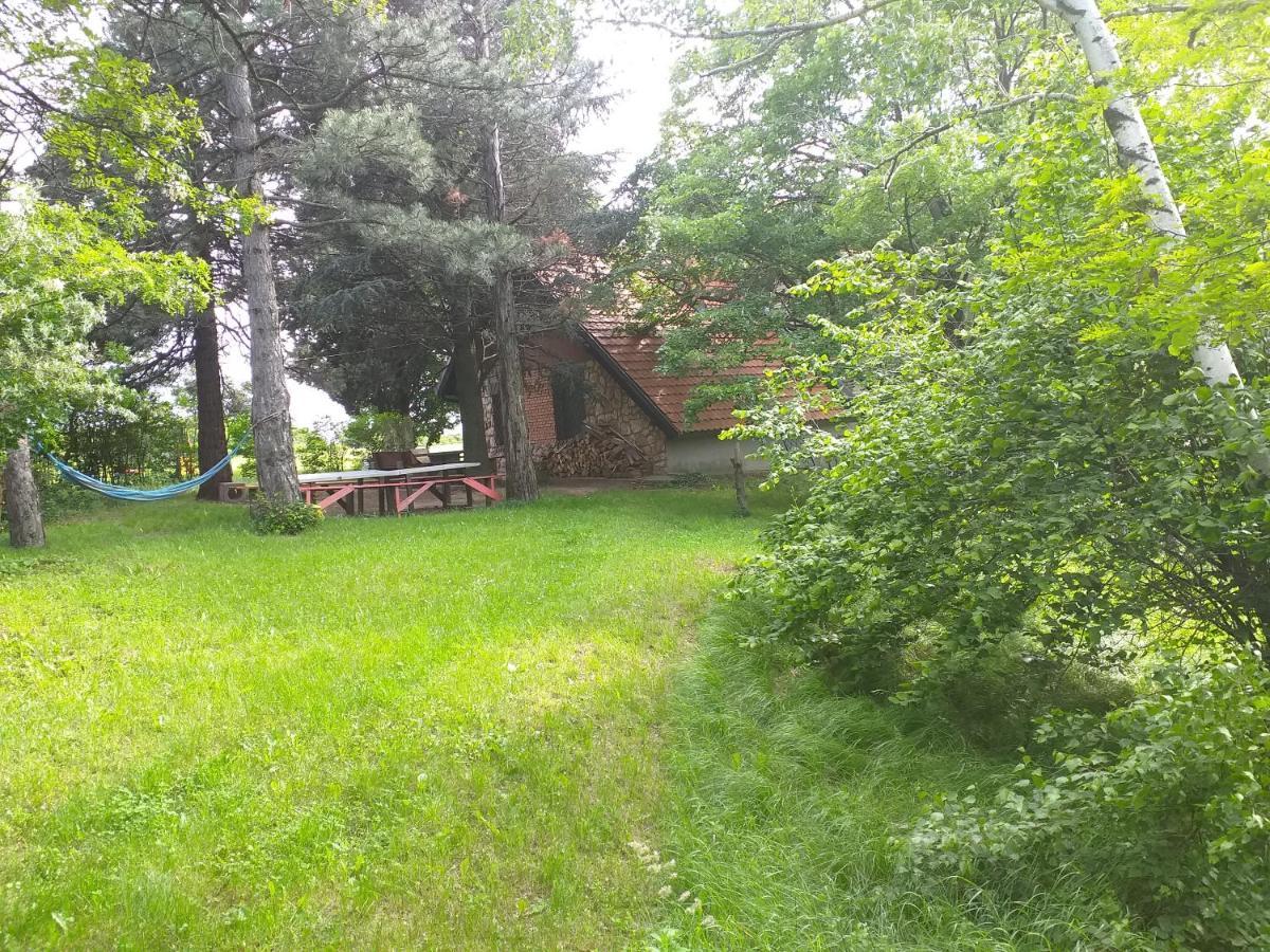 Lodging Vidmar Karlofça Dış mekan fotoğraf