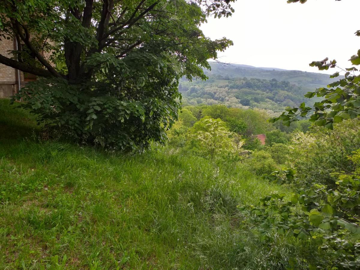 Lodging Vidmar Karlofça Dış mekan fotoğraf