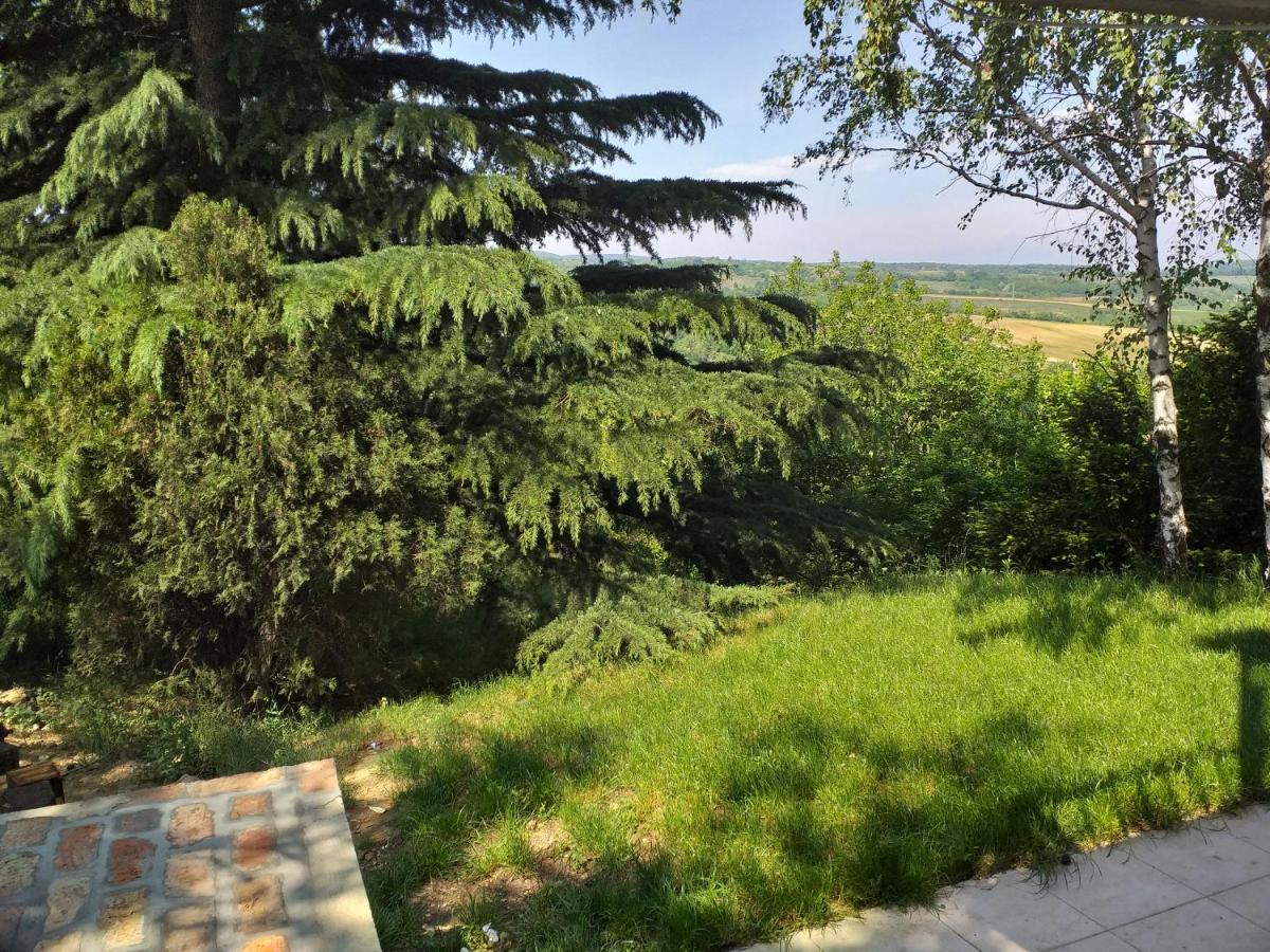 Lodging Vidmar Karlofça Dış mekan fotoğraf