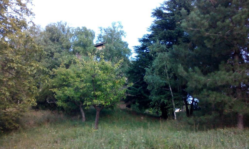 Lodging Vidmar Karlofça Oda fotoğraf