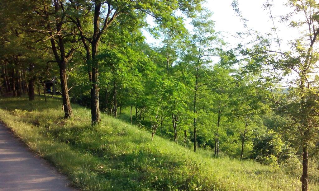 Lodging Vidmar Karlofça Oda fotoğraf