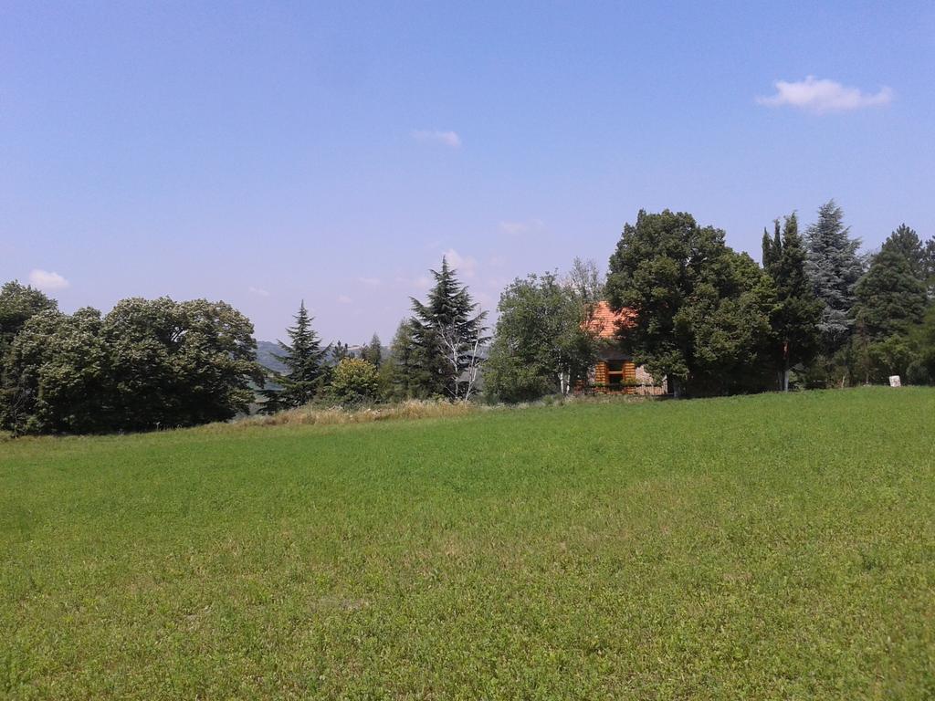 Lodging Vidmar Karlofça Oda fotoğraf