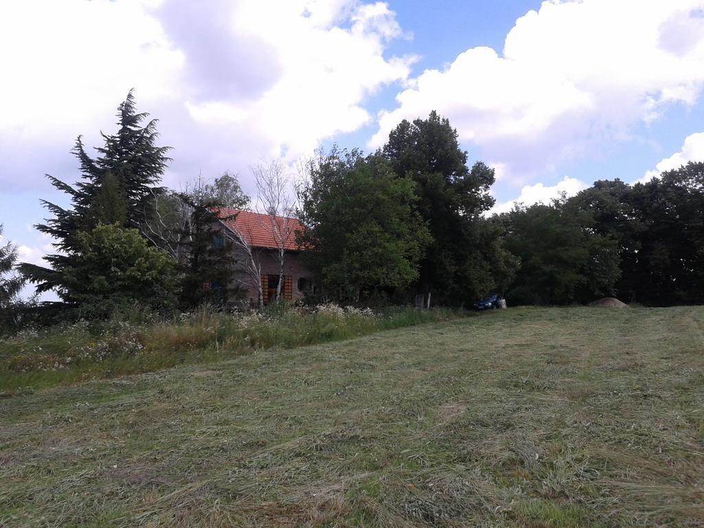 Lodging Vidmar Karlofça Dış mekan fotoğraf