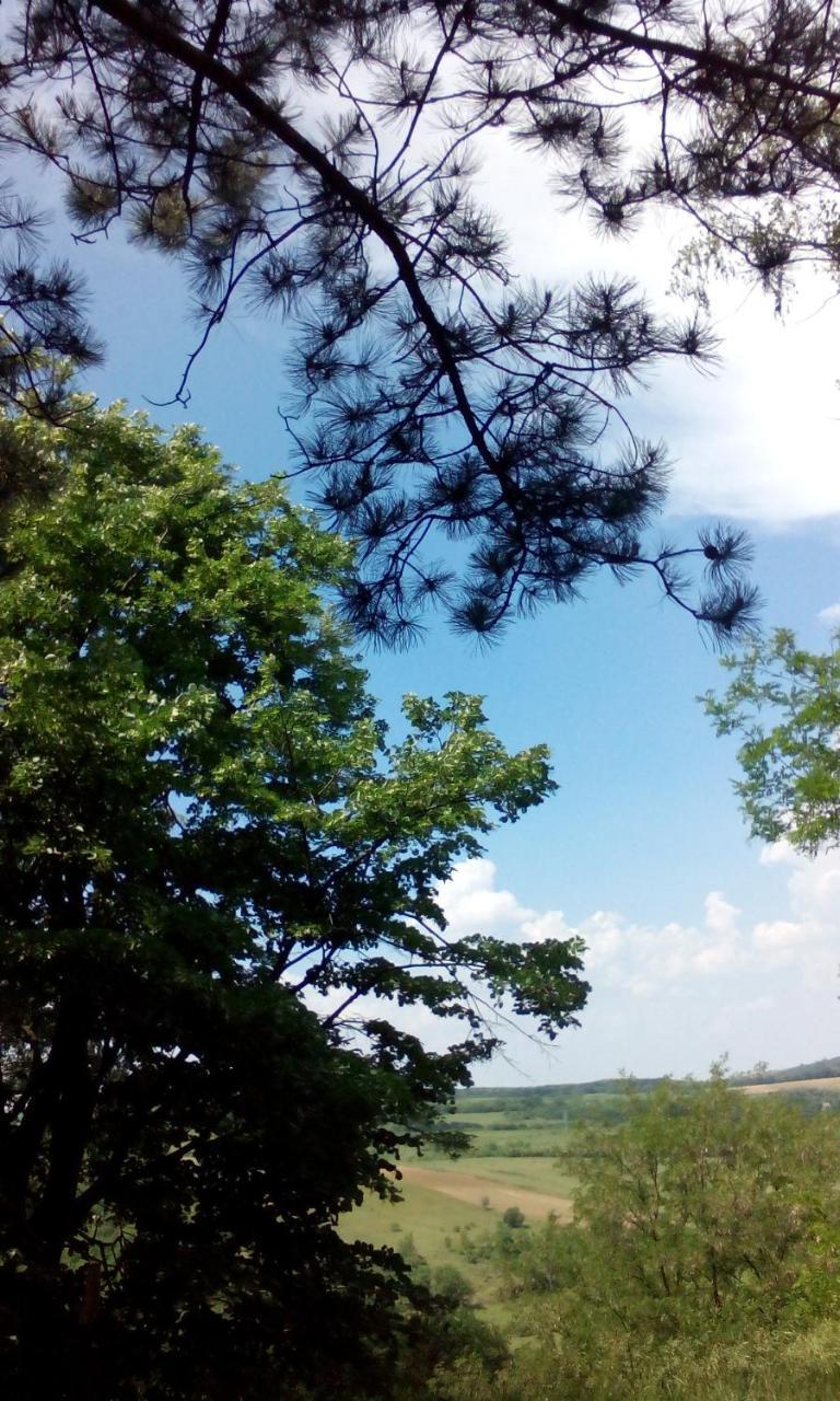 Lodging Vidmar Karlofça Dış mekan fotoğraf