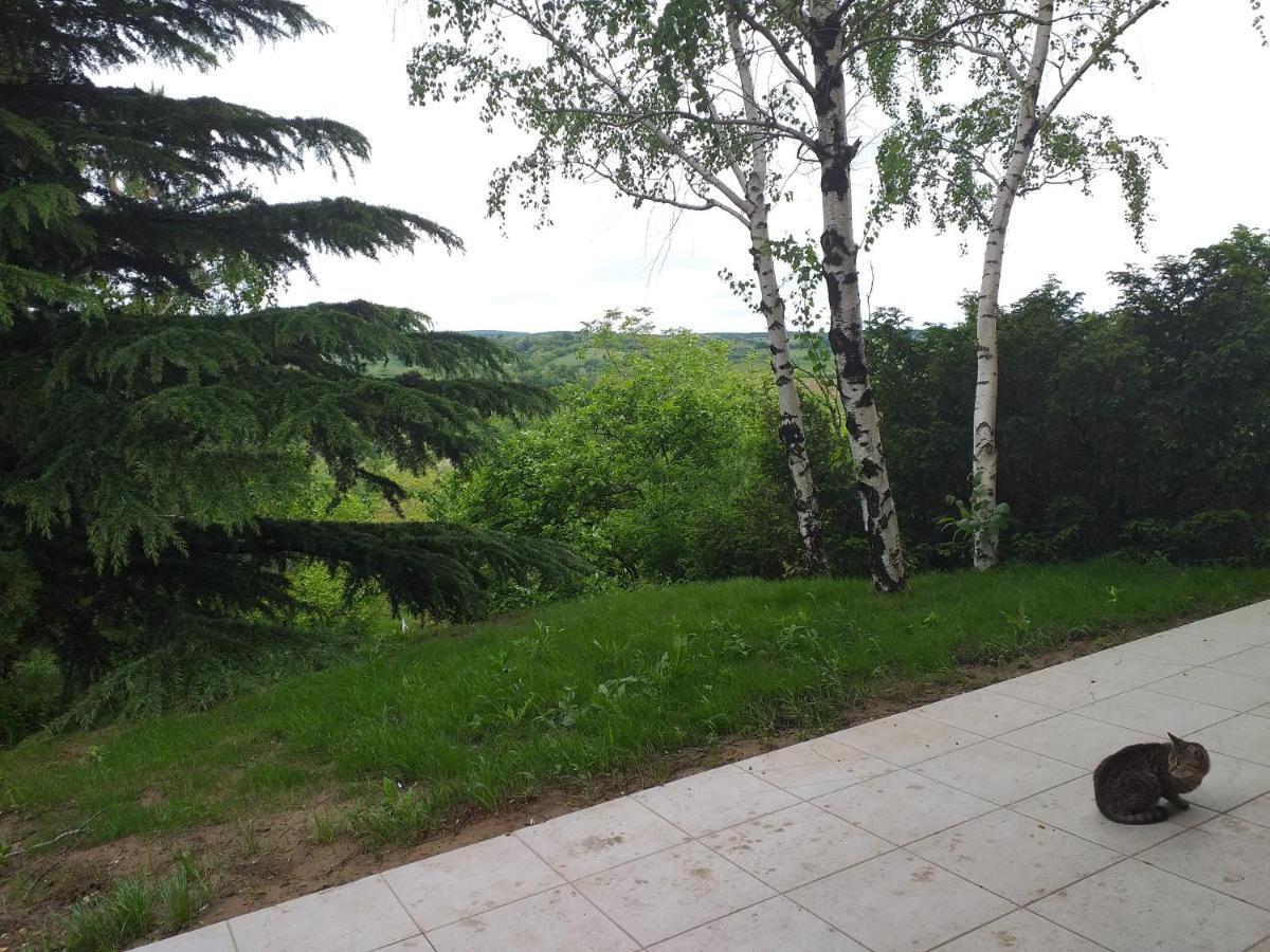 Lodging Vidmar Karlofça Dış mekan fotoğraf